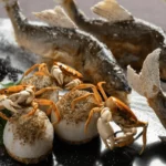 kappou imamura gallery image 7