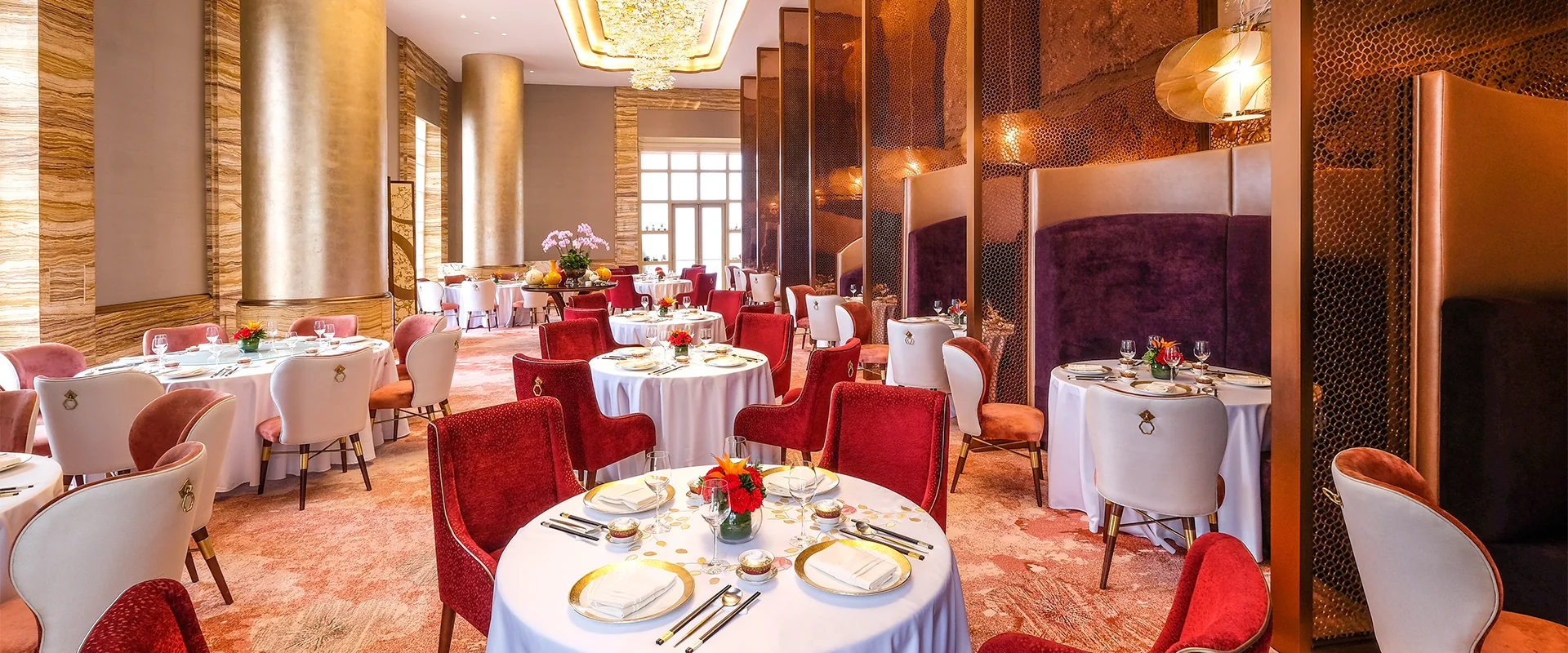 Banner trải nghiệm