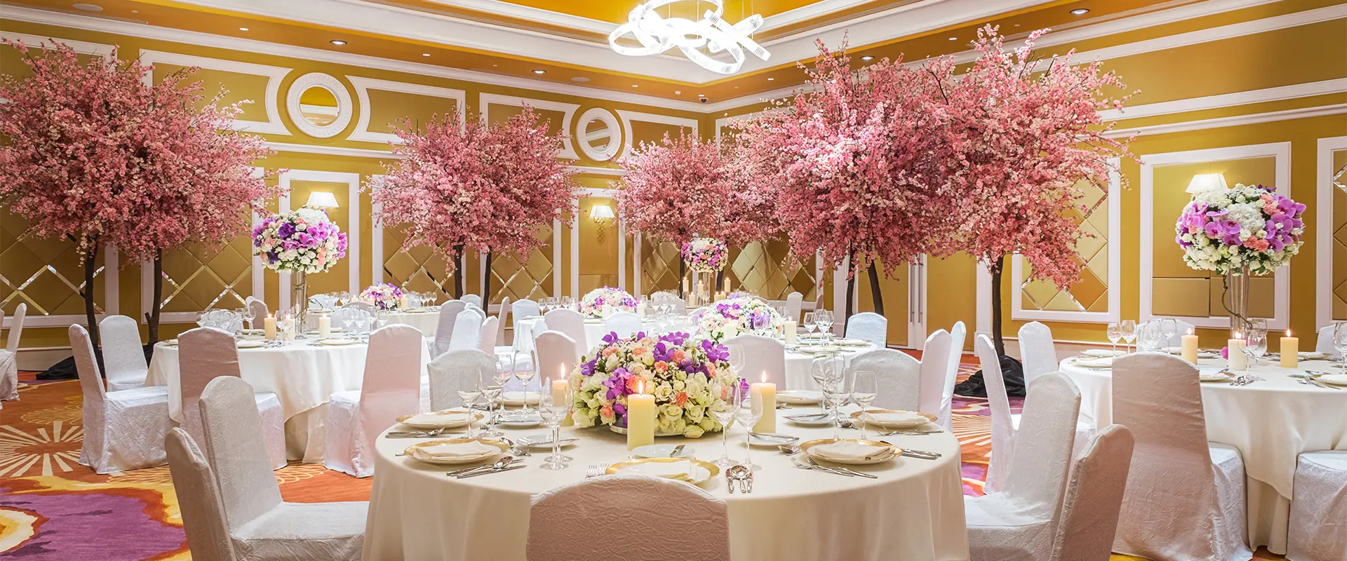 エクスペリエンス・バナー