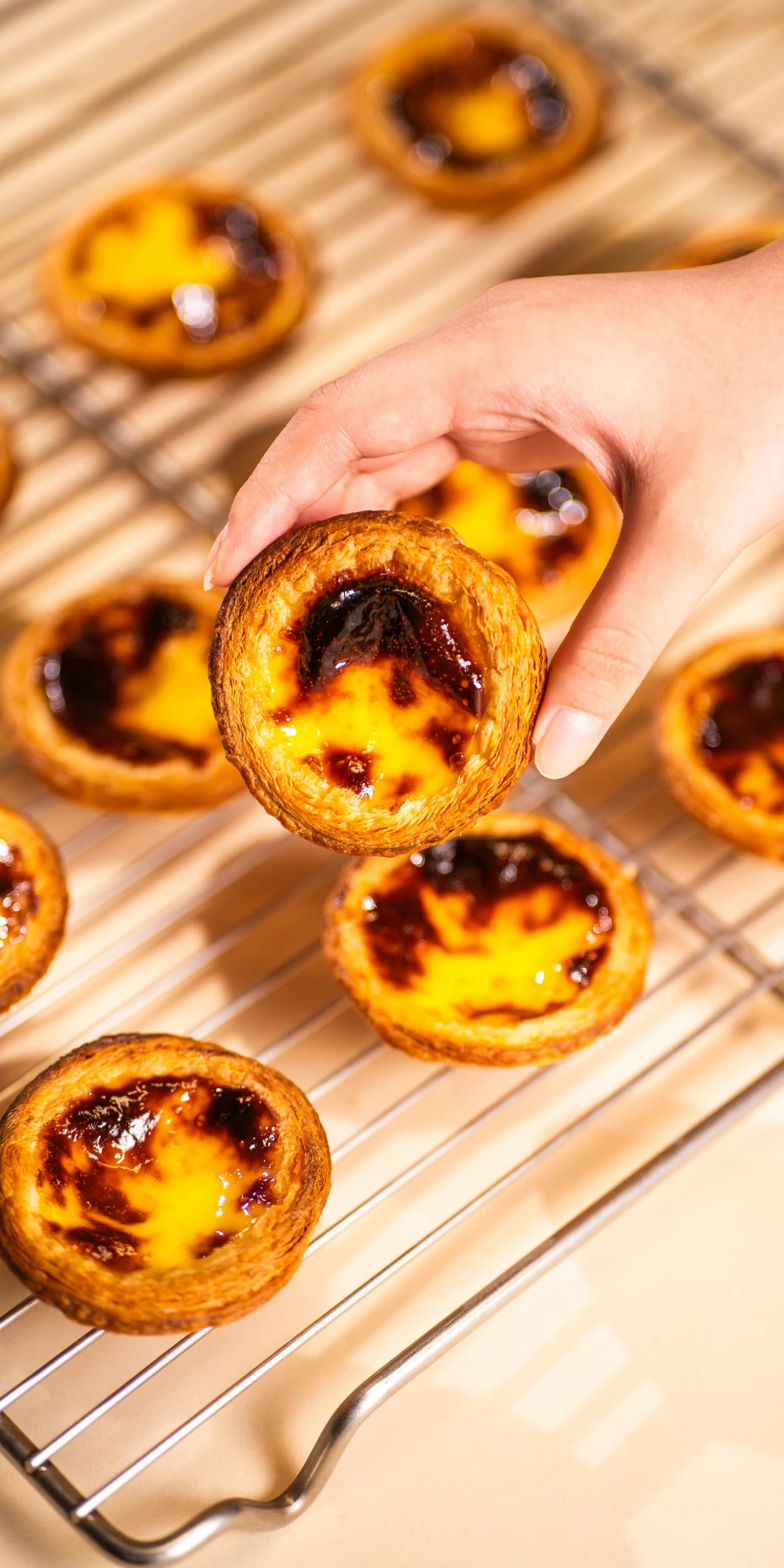 Pastry Shop Egg Tarts 03