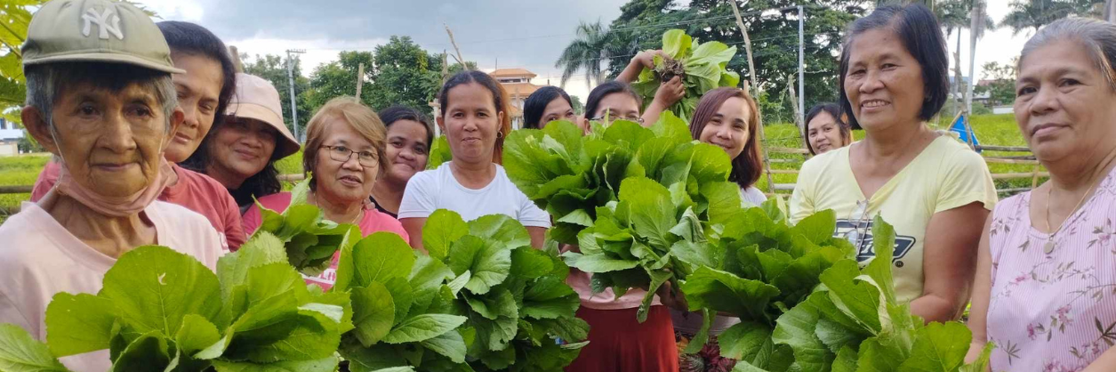 オカダ 財団とKnKのパートナーシップ、コミュニティ・ガーデンの成功で実を結ぶ